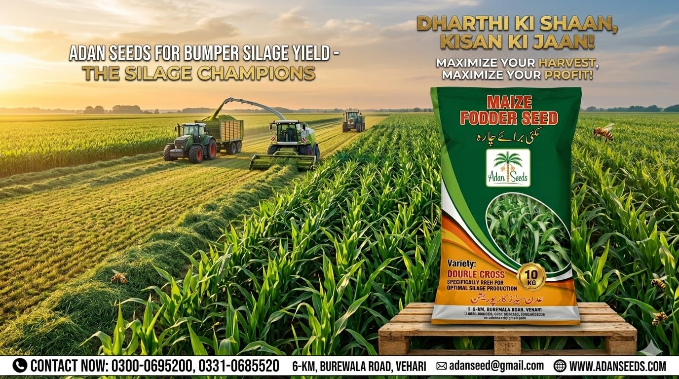 Farmer Focused Solutions